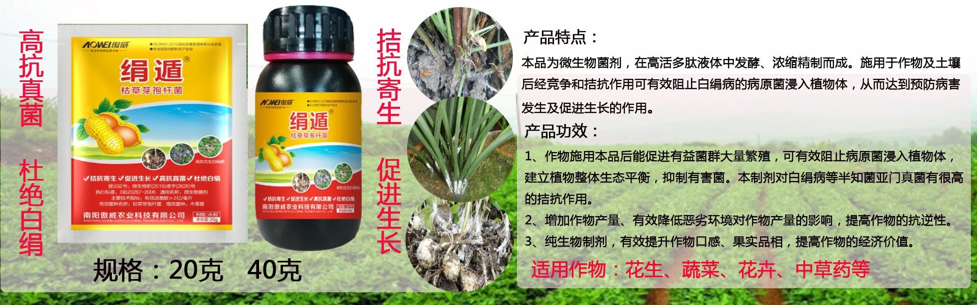 ag九游会登陆入口